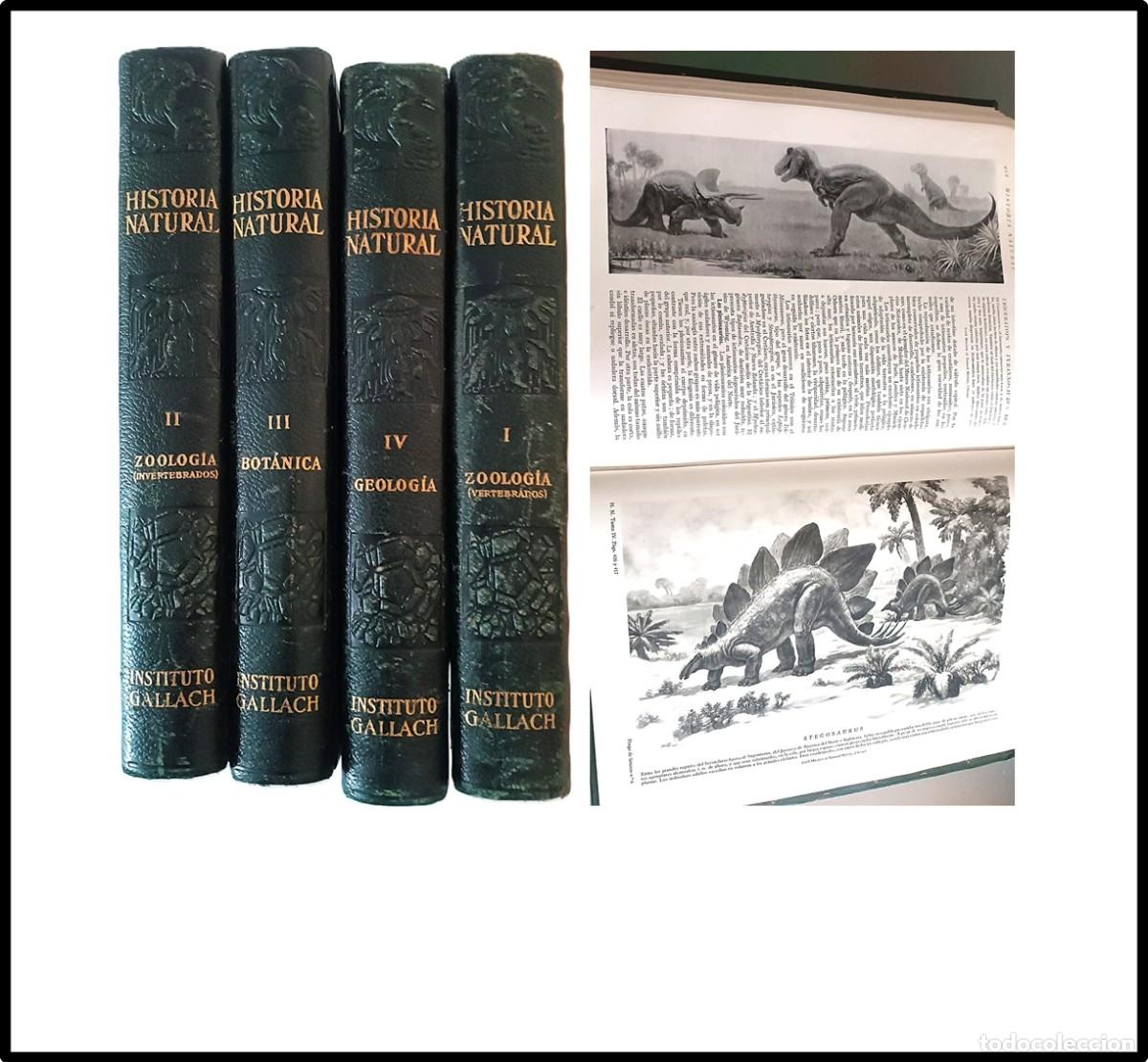 Libros de segunda mano: Historia Natural. Instituto Gallach. 4 tomos grandes tomos ilustrados. In folio.