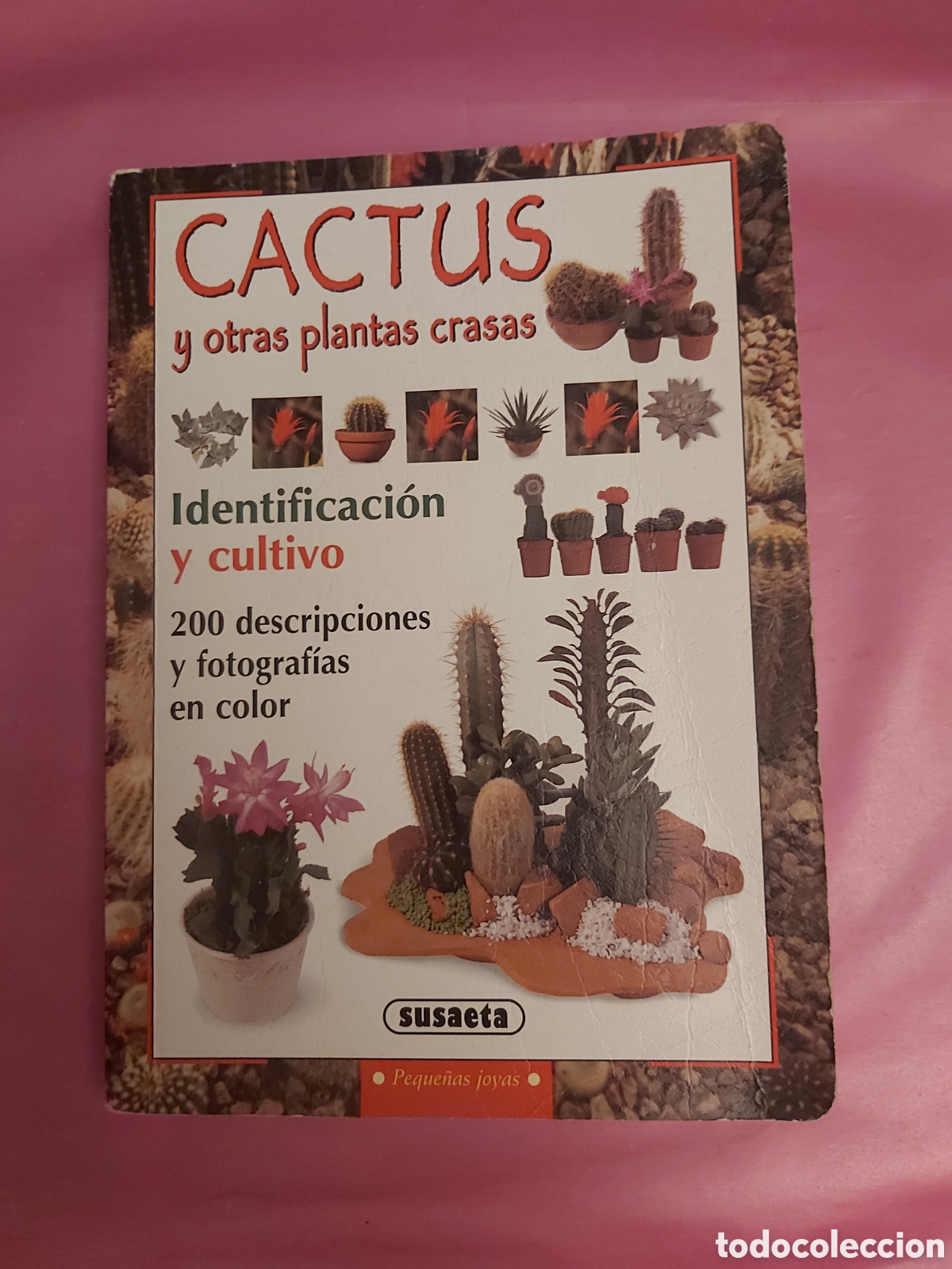 Libros de segunda mano: CACTUS Y OTRAS PLANTAS CRASAS IDENTIFICACI&Oacute;N Y CULTIVO SUSAETA 1998