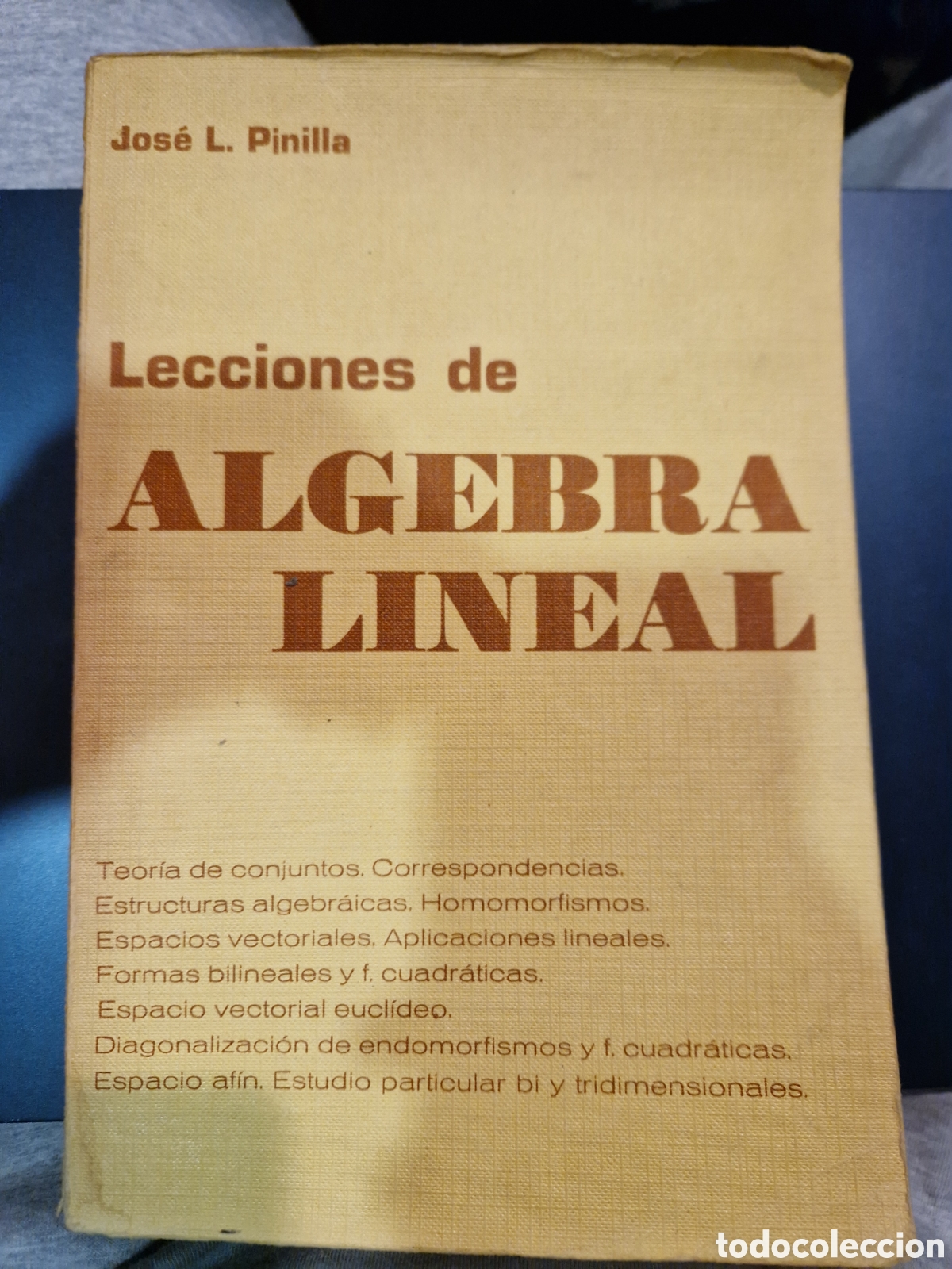 Libri di seconda mano: PINILLA, Jos&eacute; L. Lecciones de &aacute;lgebra lineal