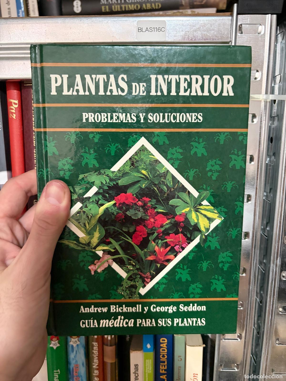 Libros de segunda mano: BLAS116C - Andrew Bicknell y George Seddon - Plantas de interior. Problemas y soluciones