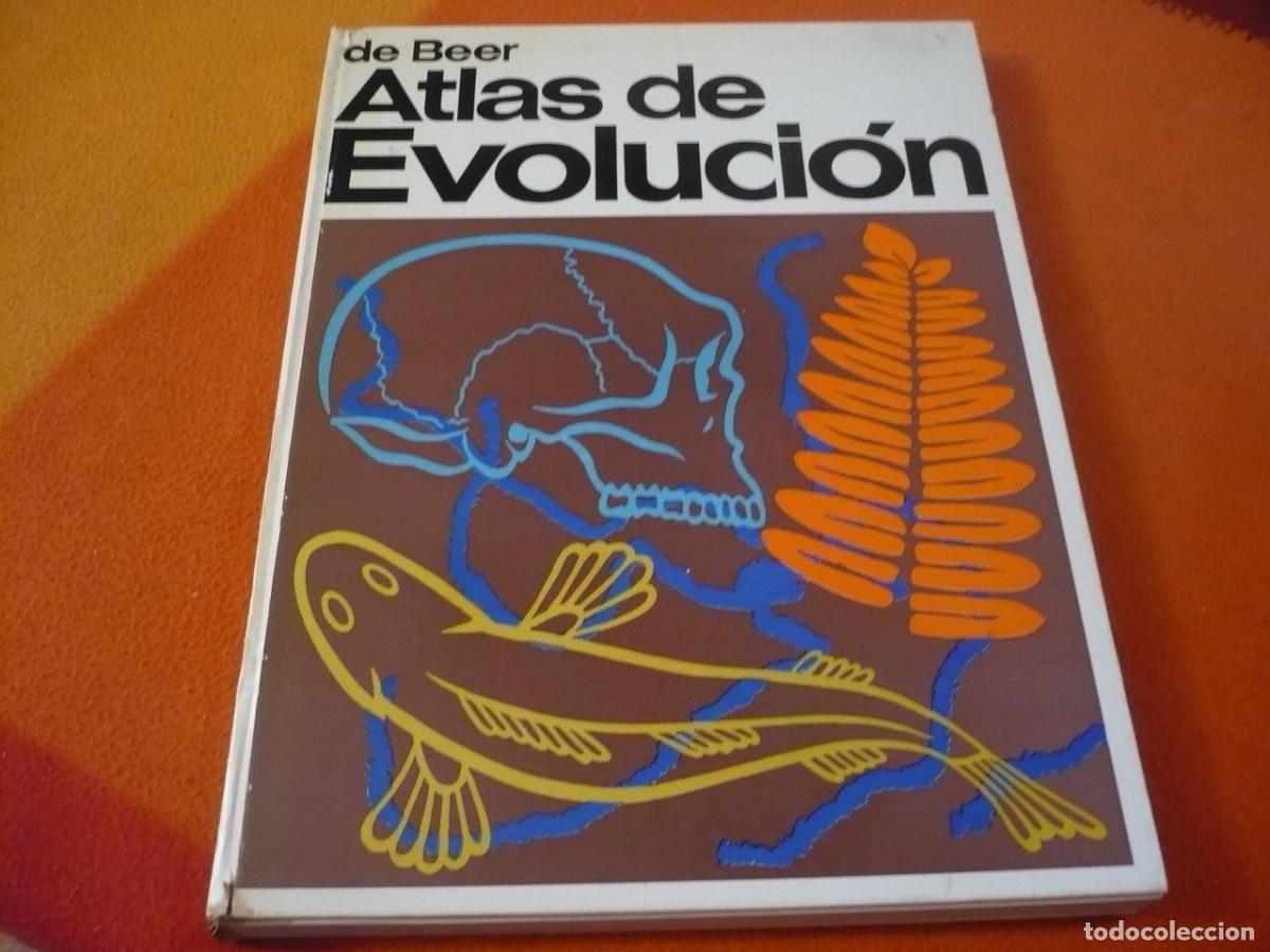 Libros de segunda mano: ATLAS DE EVOLUCION (GAVIN DE BEER) 1970 BIOLOGIA PALEONTOLOGIA GENETICA DARWIN NATURALEZA OMEGA