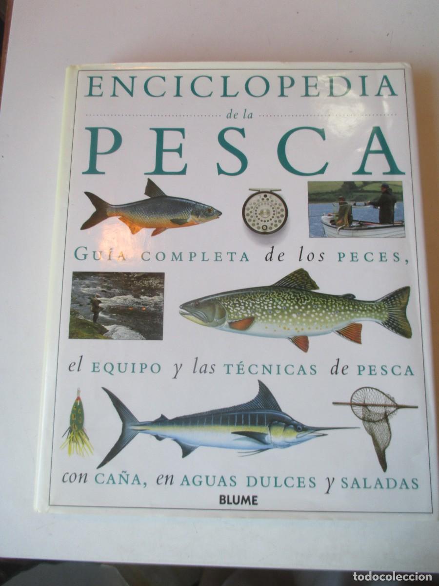 Libros de segunda mano: Enciclopedia de la pesca ( peces, equipo, t&eacute;cnicas, agua dulce y salada) W42293