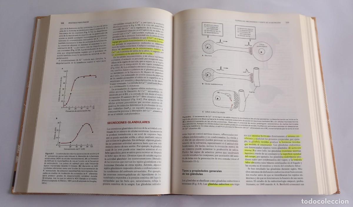 Libros de segunda mano: Fisiolog&iacute;a animal: mecanismos y adaptaciones. Eckert. 4&ordf; Edici&oacute;n. - Foto 2