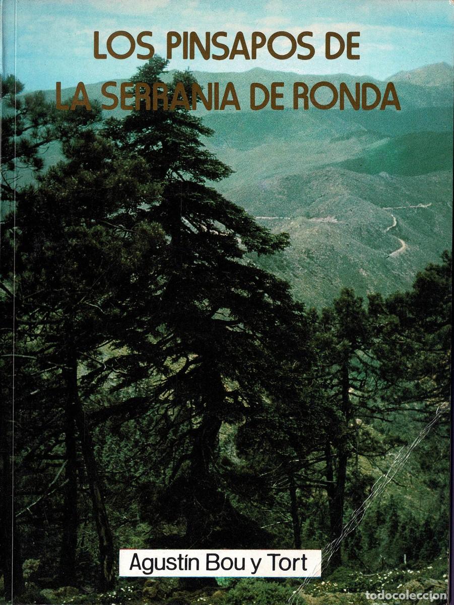 Libros de segunda mano: Los Pinsapos de la Serran&iacute;a de Ronda - Agust&iacute;n Bou y Tort