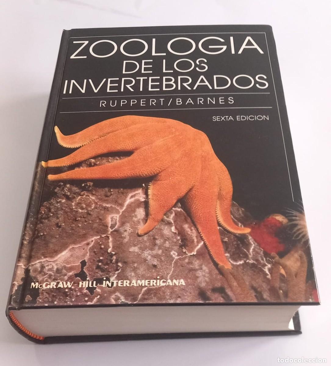 Libros de segunda mano: Zoolog&iacute;a de los invertebrados Ruppert y Barnes. 6&ordf; Edici&oacute;n.
