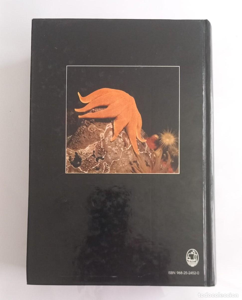 Libros de segunda mano: Zoolog&iacute;a de los invertebrados Ruppert y Barnes. 6&ordf; Edici&oacute;n. - Foto 4