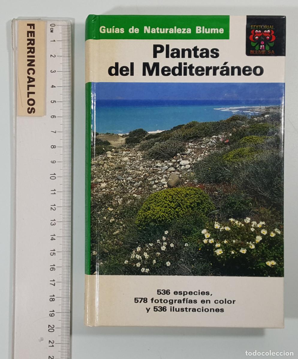 Libros de segunda mano: PLANTAS DEL MEDITERR&Aacute;NEO, GU&Iacute;AS DE NATURALEZA BLUME 1989, TAPA DURA 287 P&Aacute;GINAS