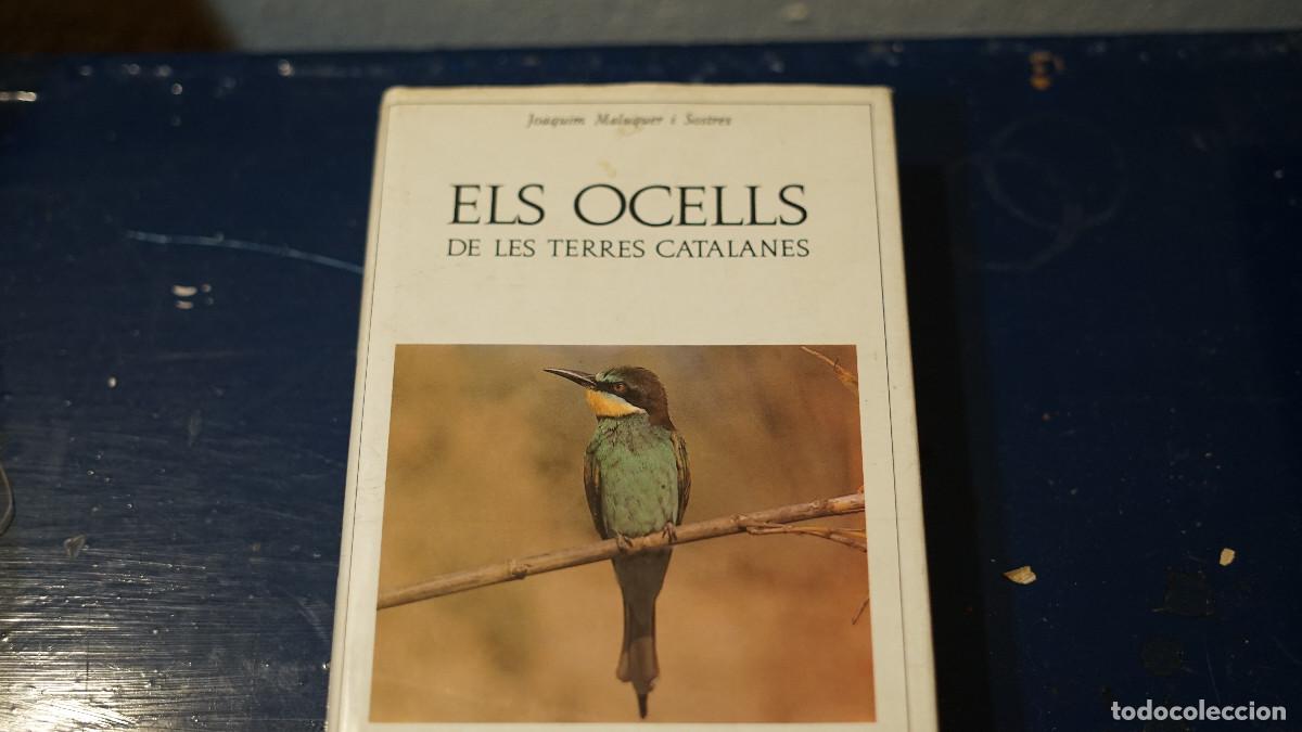 Libros de segunda mano: Joaquim Maluquer i Sostres - Els ocells de les terres catalanes - Barcino 1987
