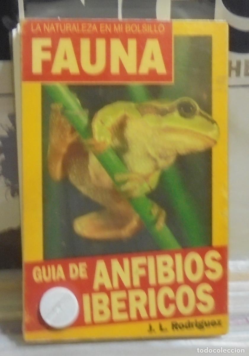 Libros de segunda mano: Gu&iacute;a de anfibios ib&eacute;ricos. J. L. Rodr&iacute;guez