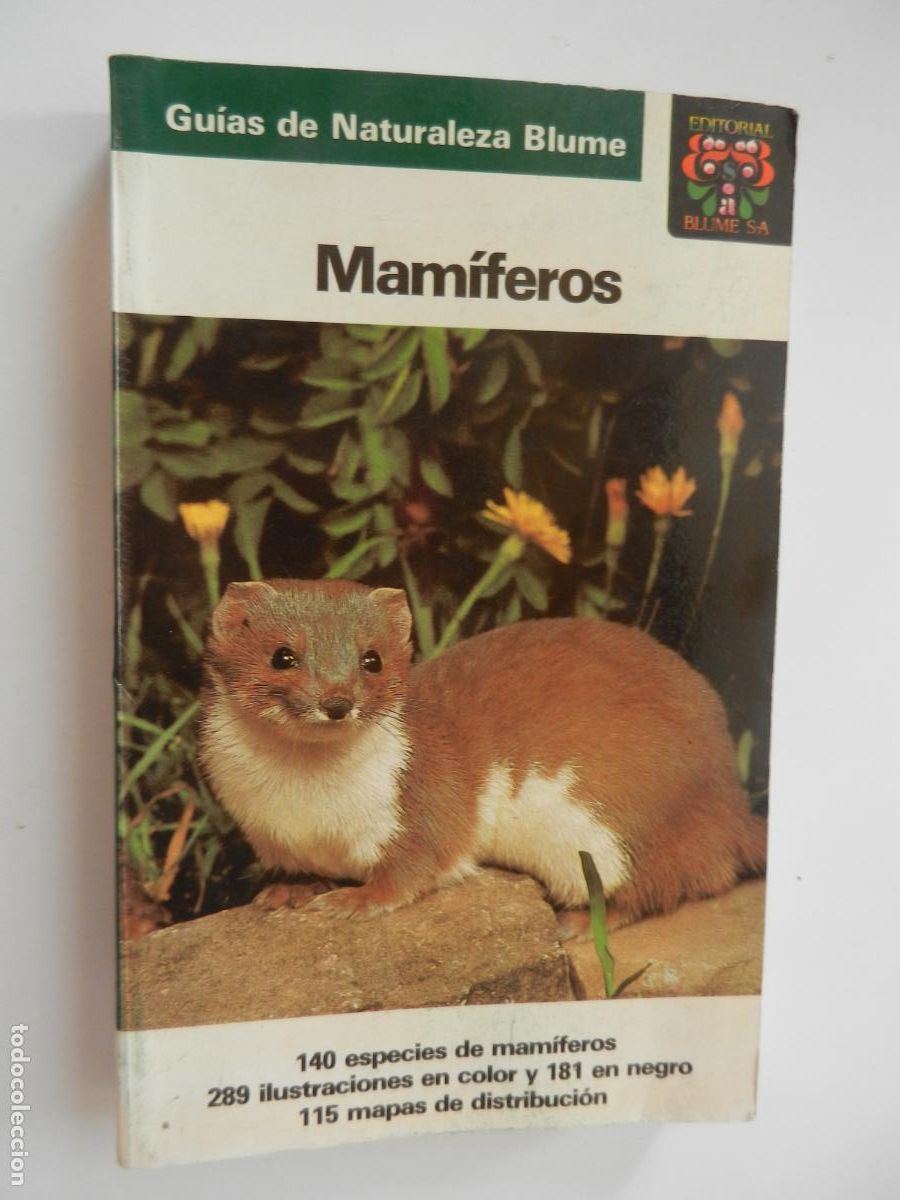 Libros de segunda mano: MAMIFEROS - JOSEF RECHHHOLF- GUIAS DE LA NATURALEZA BLUME - 1&ordf; EDC 1984