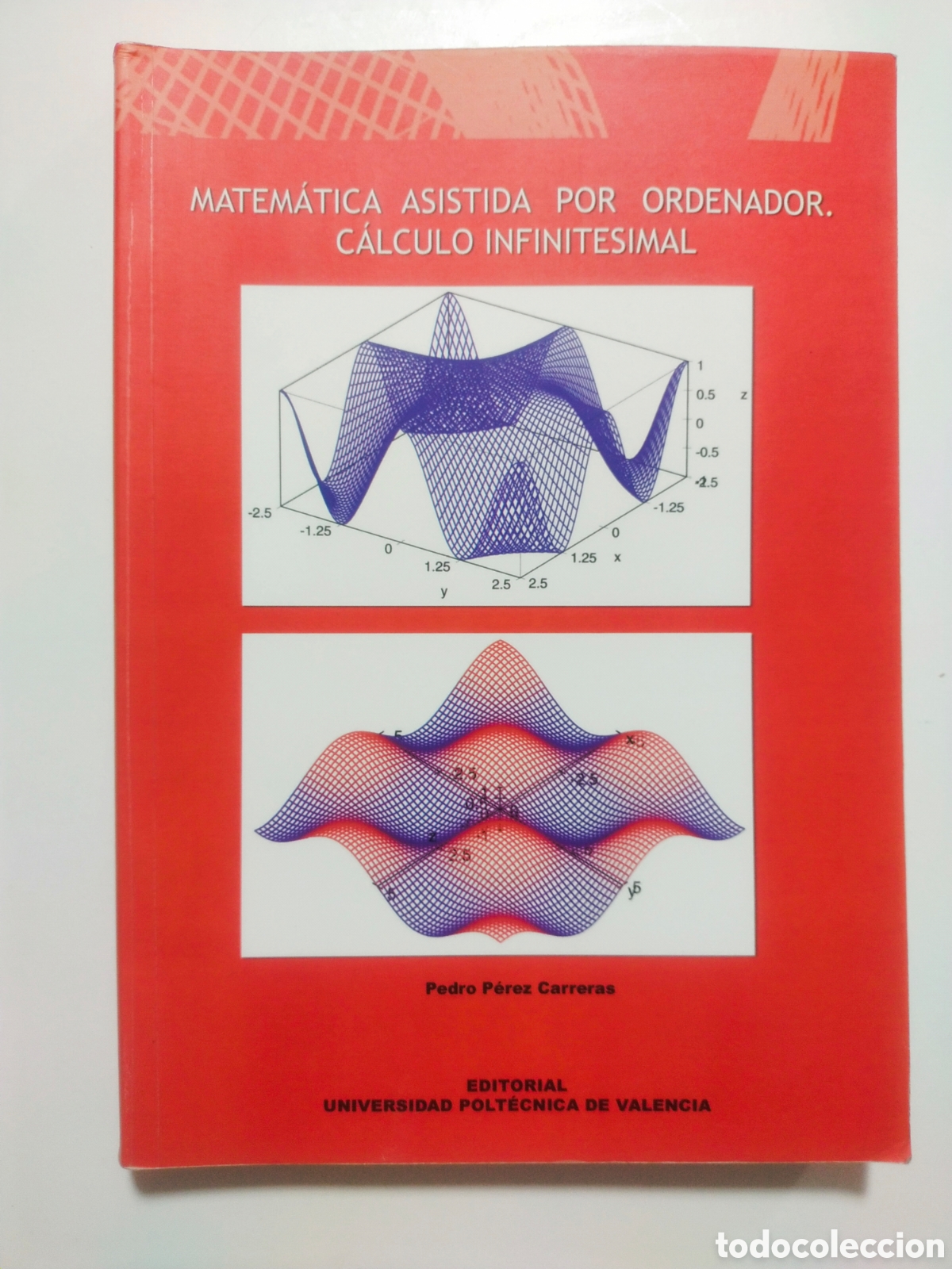 Libros de segunda mano de ciencias: Matem&aacute;tica asistida por ordenador C&aacute;lculo Infinitesimal Pedro P&eacute;rez Carreras UPV Descatalogado