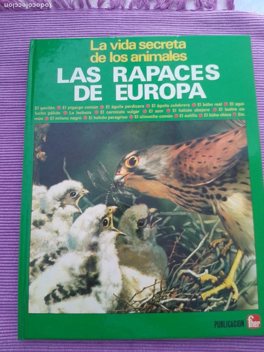 Second hand books: LA VIDA SECRETA DE LOS ANIMALES LAS RAPACES DE EUROPA. FHER 1981.