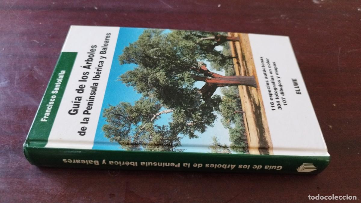 Libros de segunda mano: GUIA DE LOS ARBOLES DE LA PENINSULA IBERICA Y BALEARES / FRANCISCO SANTOFALLA / CJA 601 / BLUM