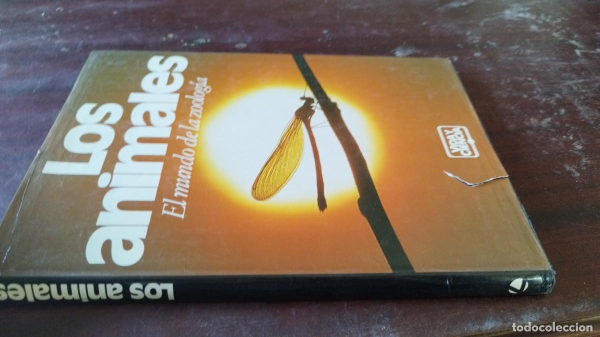 Second hand books: LOS ANIMALES EL MUNDO DE LA ZOOLOGIA / / CJA 602 / CIRCULO DE LECTORES