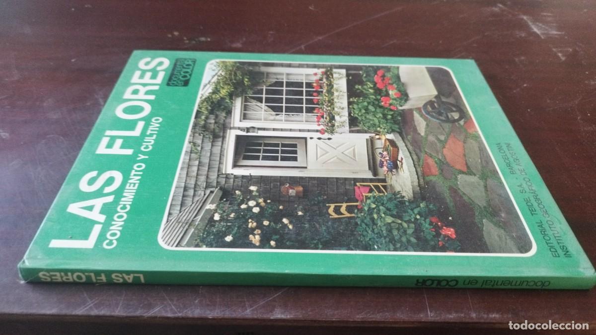 Libros de segunda mano: LAS FLORES CONOCIMIENTO Y CULTIVO / UBERTO TOSCO / CJA 608 / TEIDE