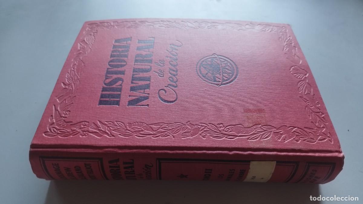 Libros de segunda mano: HISTORIA NATURAL DE LA CREACION / VVAA / GARA 61 / AVE