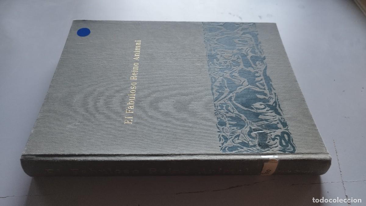 Libros de segunda mano: EL FABULOSO REINO ANIMAL / / GARA 61 / READERS DIGEST