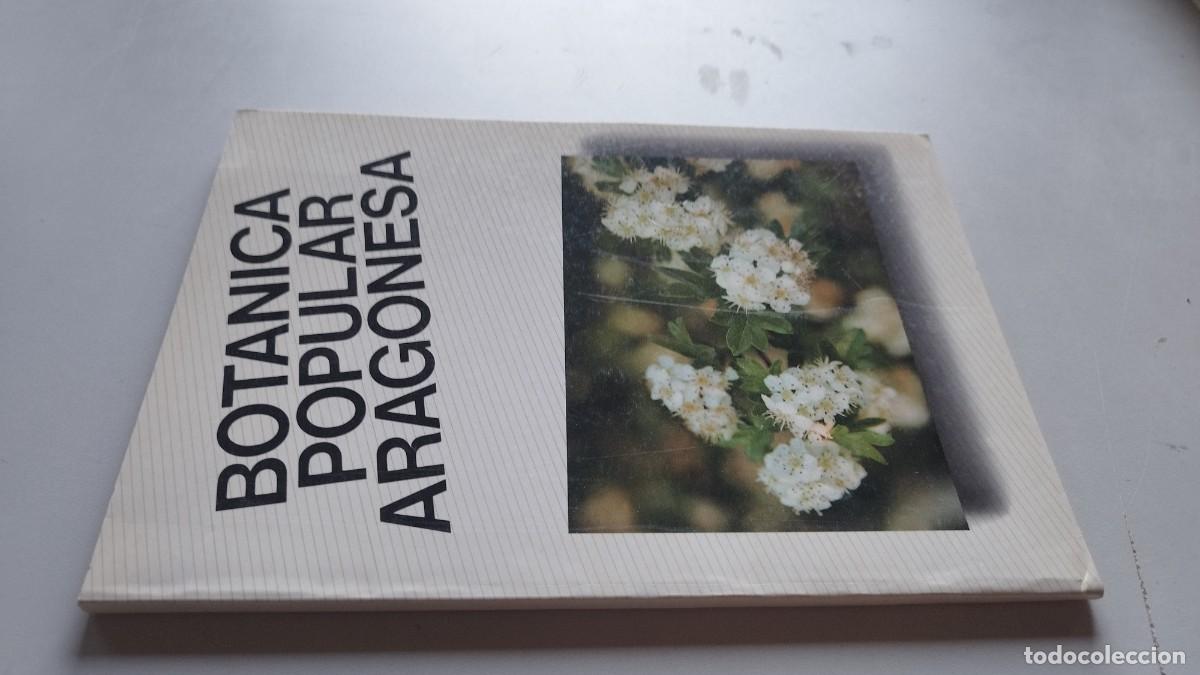 Libros de segunda mano: BOTANICA POPULAR ARAGONESA / VVAA / GARA 61
