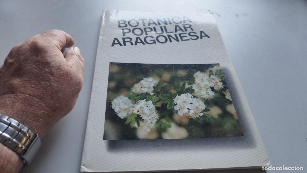 Libros de segunda mano: BOTANICA POPULAR ARAGONESA / VVAA / GARA 61 - Foto 2