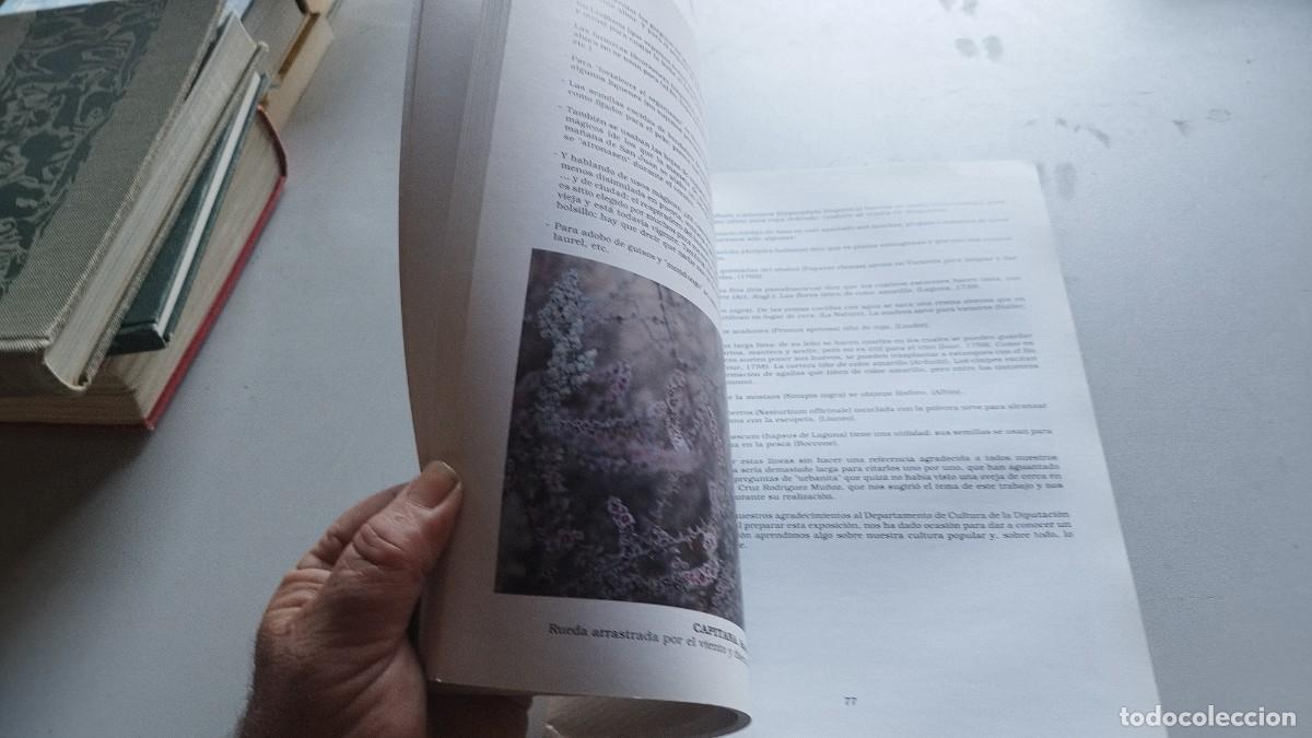 Libros de segunda mano: BOTANICA POPULAR ARAGONESA / VVAA / GARA 61 - Foto 7