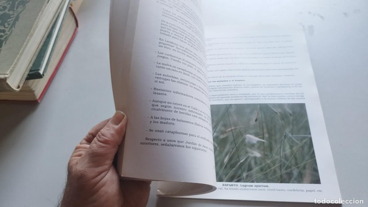 Libros de segunda mano: BOTANICA POPULAR ARAGONESA / VVAA / GARA 61 - Foto 8