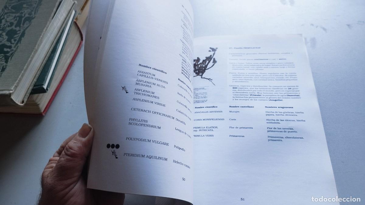 Libros de segunda mano: BOTANICA POPULAR ARAGONESA / VVAA / GARA 61 - Foto 11