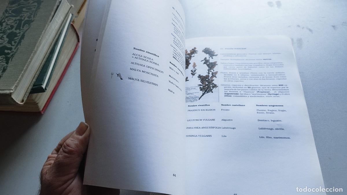 Libros de segunda mano: BOTANICA POPULAR ARAGONESA / VVAA / GARA 61 - Foto 12