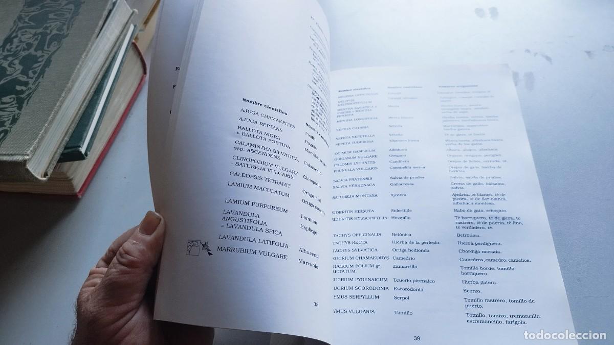 Libros de segunda mano: BOTANICA POPULAR ARAGONESA / VVAA / GARA 61 - Foto 13