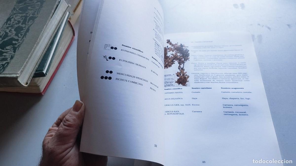 Libros de segunda mano: BOTANICA POPULAR ARAGONESA / VVAA / GARA 61 - Foto 14