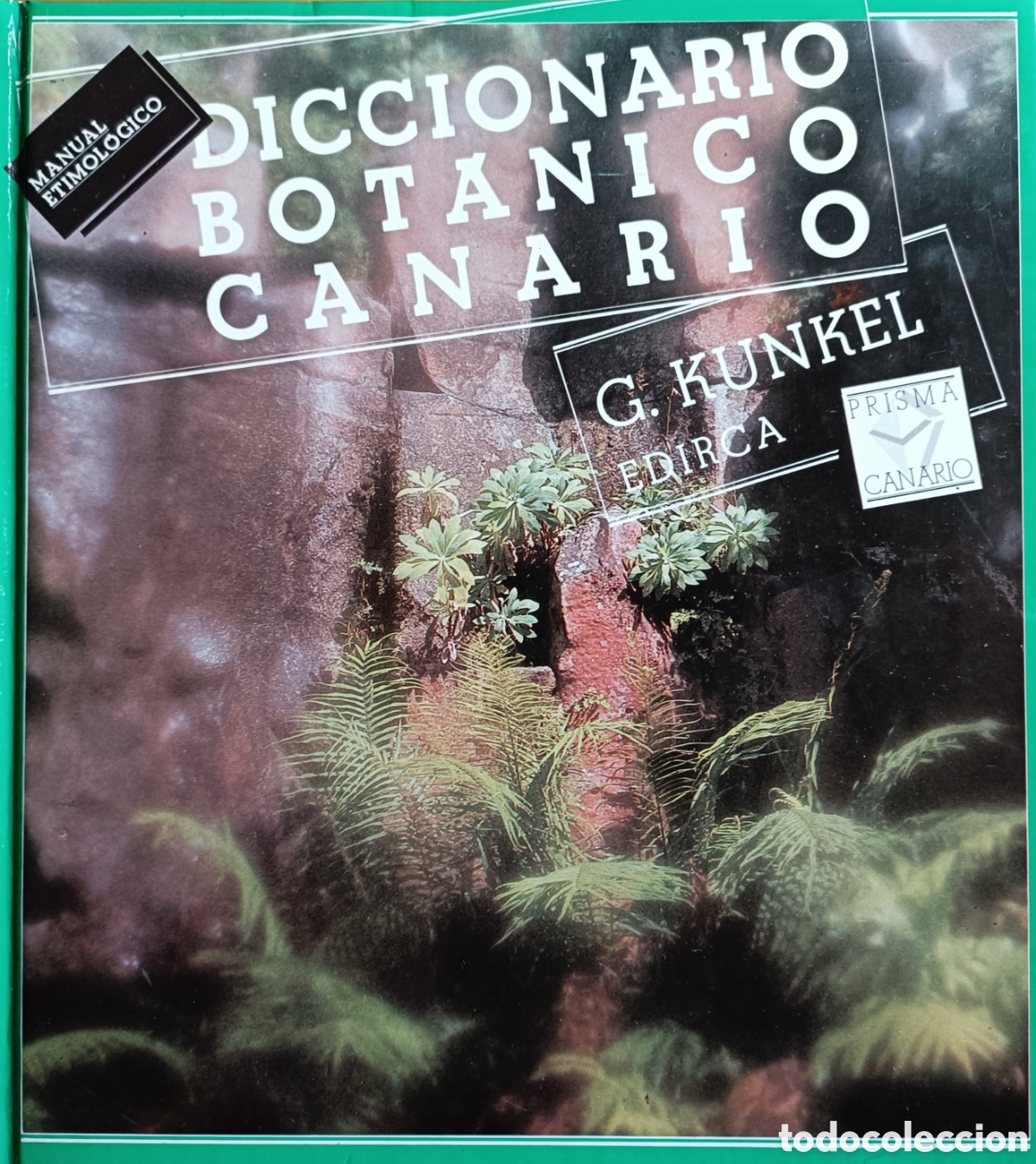 Libros de segunda mano: Diccionario bot&aacute;nico canario. Manual etimol&oacute;gico.