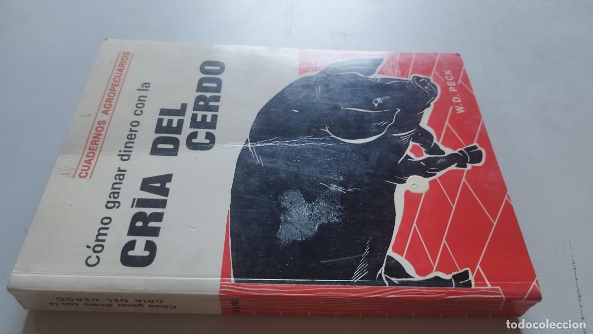 Libros de segunda mano: COMO GANAR DINERO CON LA CRIA DEL CERDO / W.D.PECK / GRAVOL 22 / SERTEBI