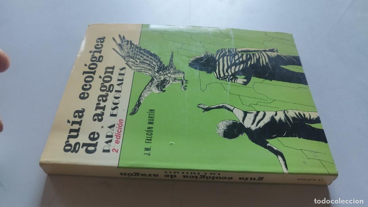 Libros de segunda mano: GUIA ECOLOGICA DE ARAGON PARA ESCOLARES / J.M.FALCON MARTIN / GRAVOL 22