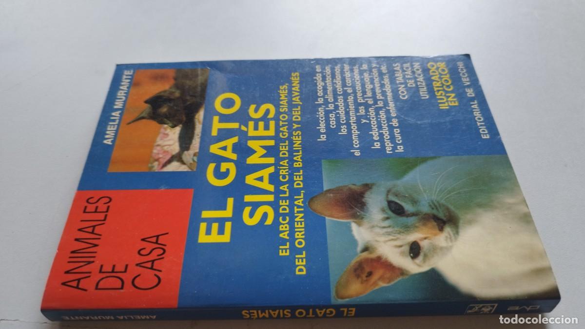 Libros de segunda mano: EL GATO SIAMES / AMELIA MURANTE / GV 70 / DE VECCHI - Foto 1