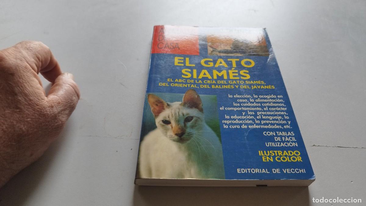 Libros de segunda mano: EL GATO SIAMES / AMELIA MURANTE / GV 70 / DE VECCHI - Foto 2