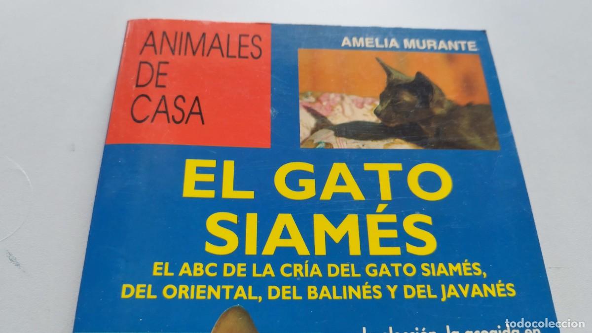 Libros de segunda mano: EL GATO SIAMES / AMELIA MURANTE / GV 70 / DE VECCHI - Foto 3
