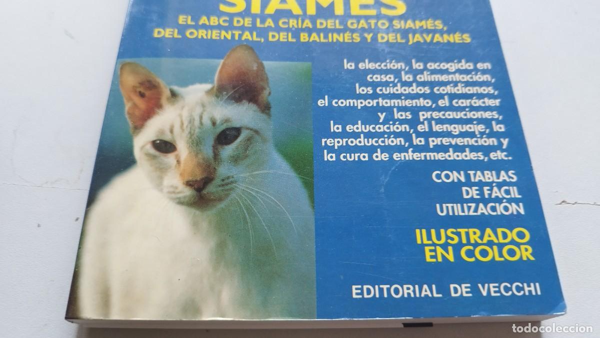 Libros de segunda mano: EL GATO SIAMES / AMELIA MURANTE / GV 70 / DE VECCHI - Foto 4