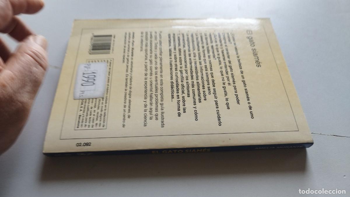 Libros de segunda mano: EL GATO SIAMES / AMELIA MURANTE / GV 70 / DE VECCHI - Foto 5