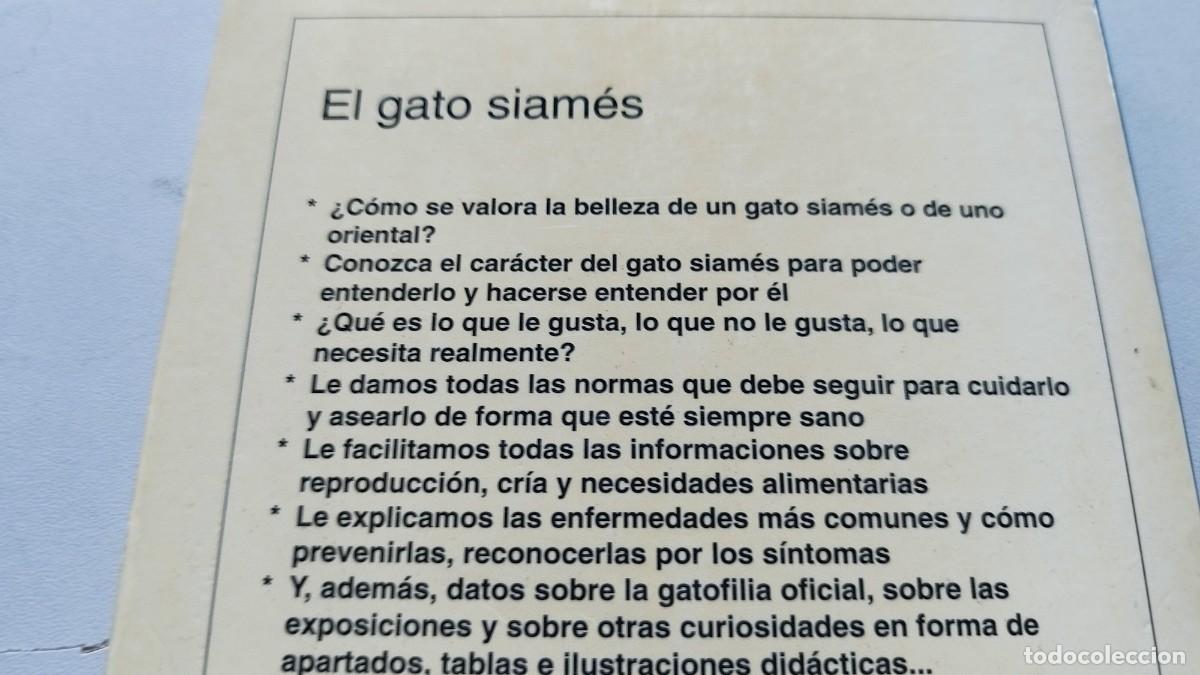 Libros de segunda mano: EL GATO SIAMES / AMELIA MURANTE / GV 70 / DE VECCHI - Foto 6