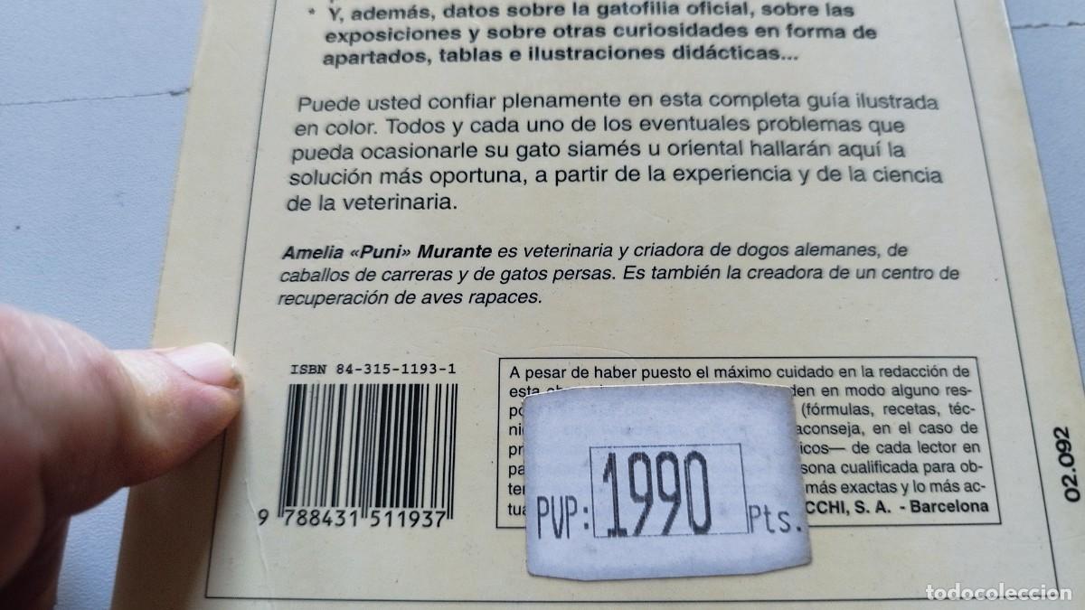 Libros de segunda mano: EL GATO SIAMES / AMELIA MURANTE / GV 70 / DE VECCHI - Foto 7