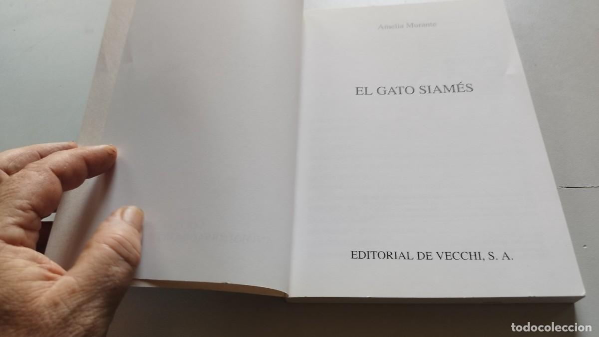 Libros de segunda mano: EL GATO SIAMES / AMELIA MURANTE / GV 70 / DE VECCHI - Foto 8