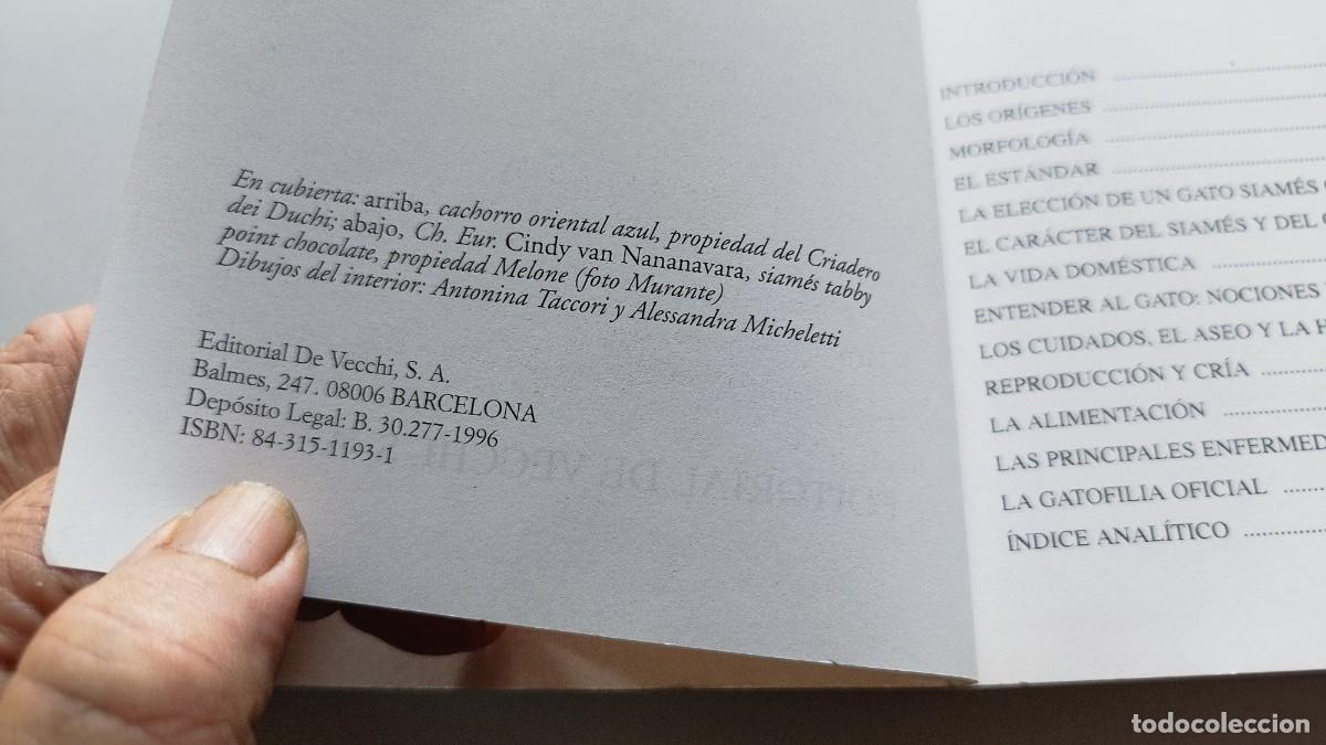 Libros de segunda mano: EL GATO SIAMES / AMELIA MURANTE / GV 70 / DE VECCHI - Foto 9