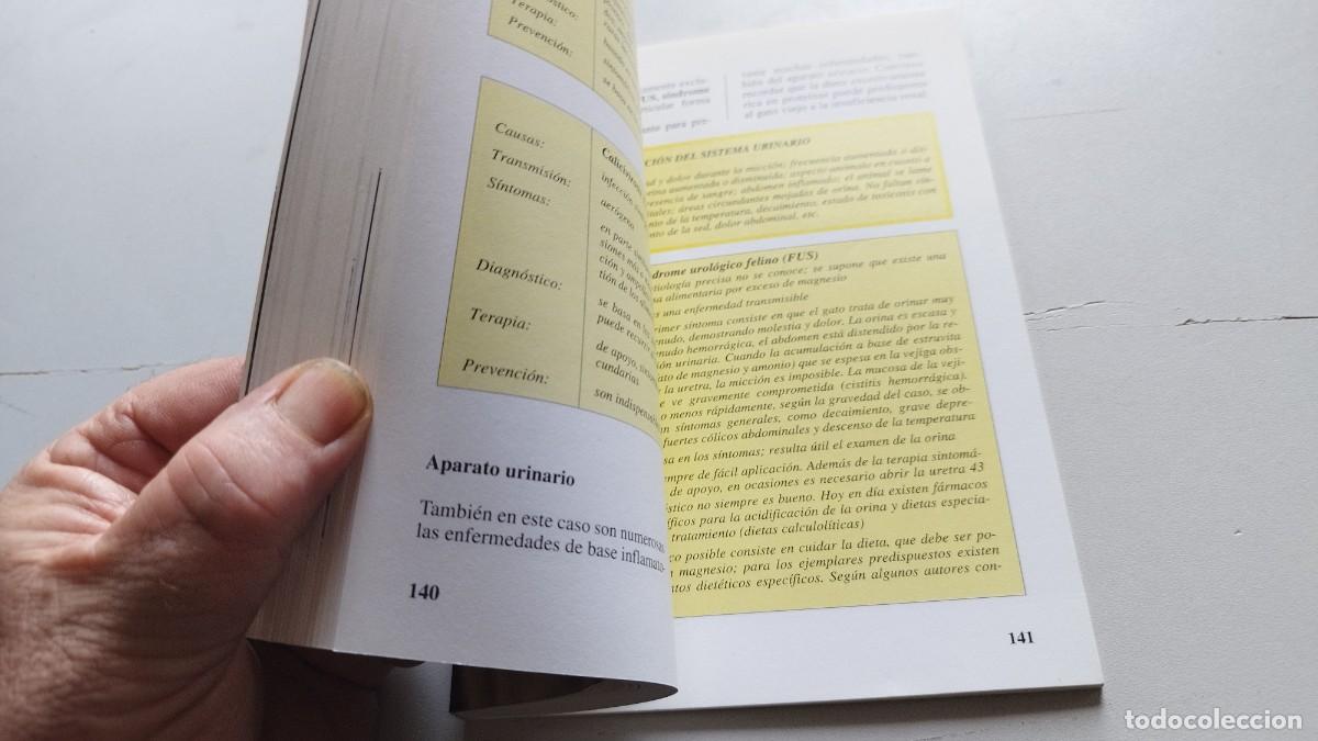 Libros de segunda mano: EL GATO SIAMES / AMELIA MURANTE / GV 70 / DE VECCHI - Foto 11
