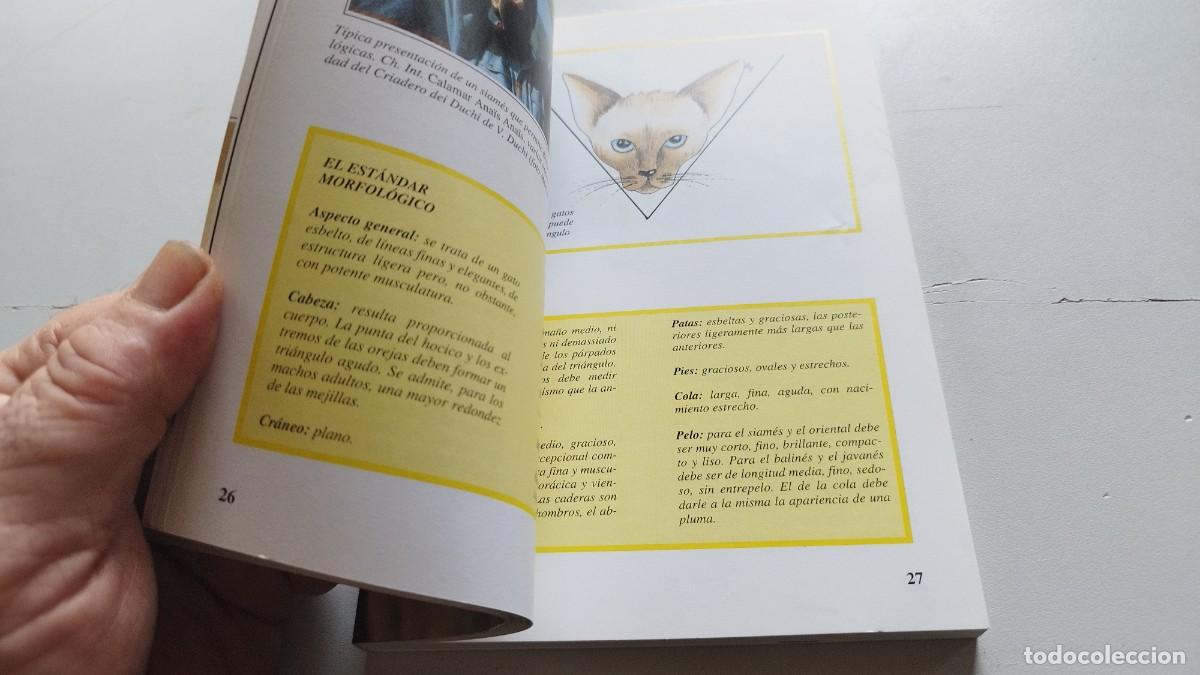 Libros de segunda mano: EL GATO SIAMES / AMELIA MURANTE / GV 70 / DE VECCHI - Foto 17