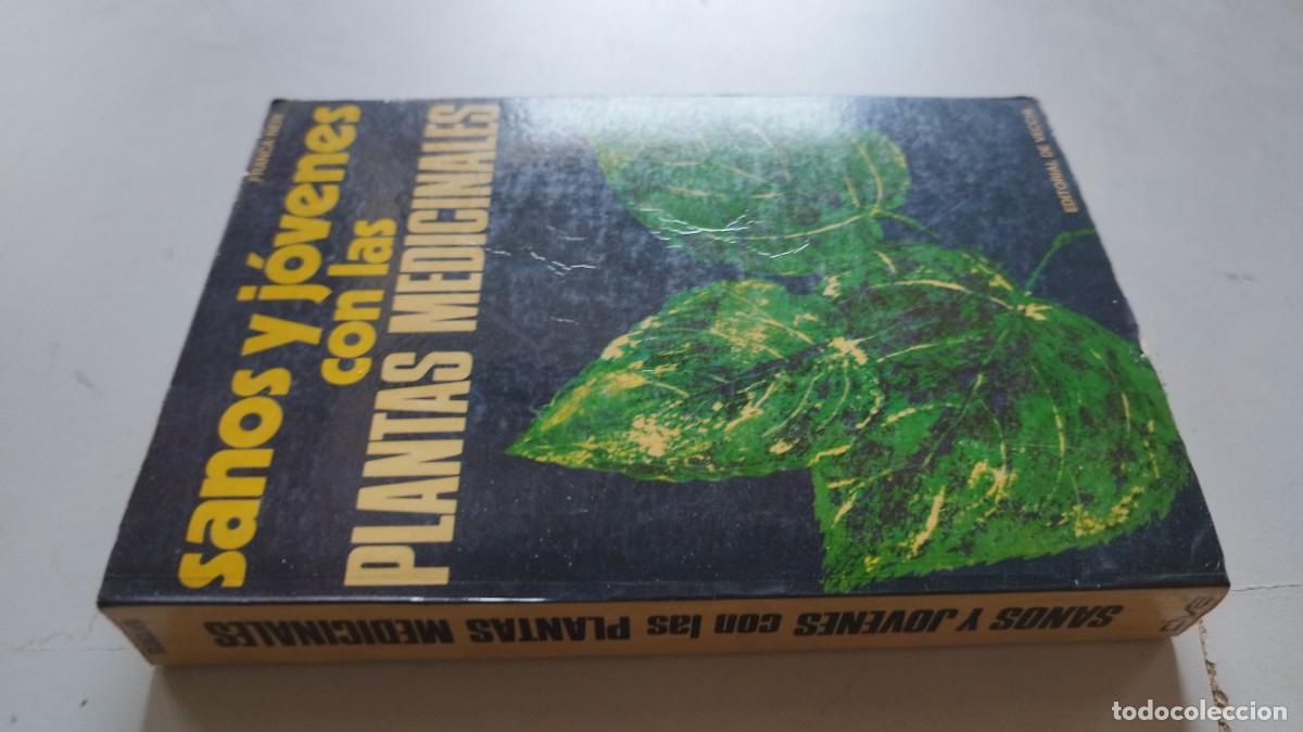 Libros de segunda mano: SANOS Y JOVENES CON LAS PLANTAS MEDICINALES / FRANCA NERI / GV 70 / DE VECCHI