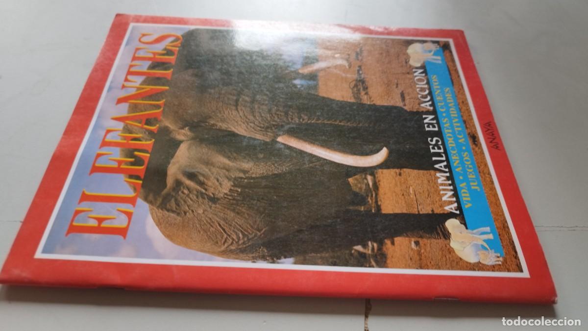 Libros de segunda mano: ELEFANTES ANIMALES EN ACCION / / GV 25 / ANAYA