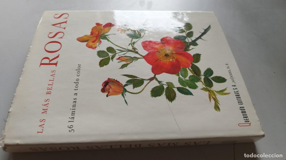 Libros de segunda mano: LAS MAS BELLAS ROSAS / P.SVOBODA / GV 82 / QUEROMON