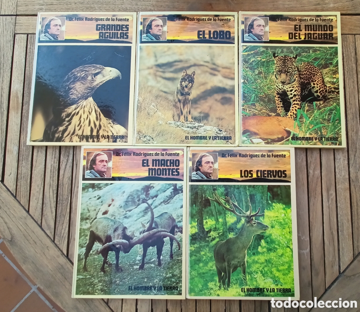 Libros de segunda mano: El Hombre y la tierra. Felix Rodr&iacute;guez de la Fuente
