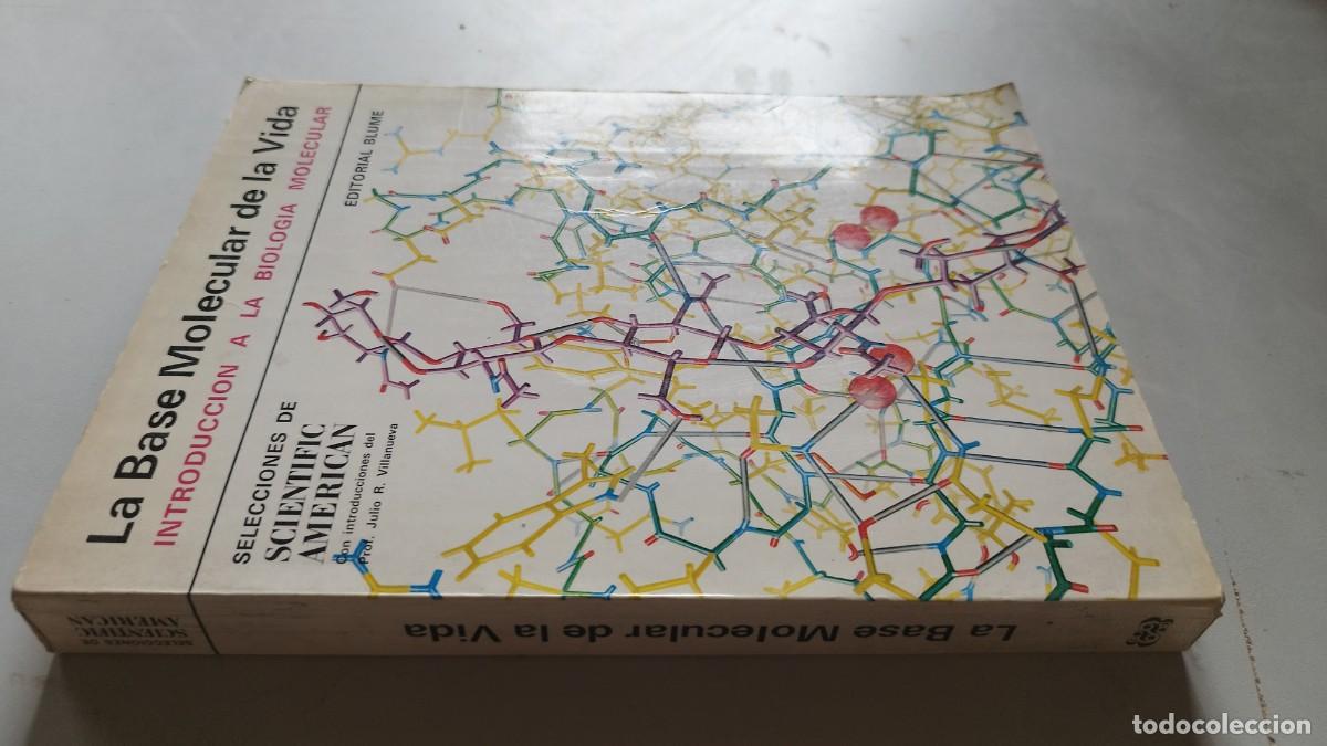 Libros de segunda mano: LA BASE MOLECULAR DE LA VIDA / JULIO R.VILLANUEVA / GV 82 / BLUME