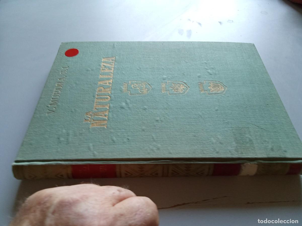Libros de segunda mano: LA NATURALEZA, T SEGUNDO, ZOOLOGIA, VERTEBRADOS / MUEDRA - THOMAS /TXT 103/1939 DALMAU Y JOVER