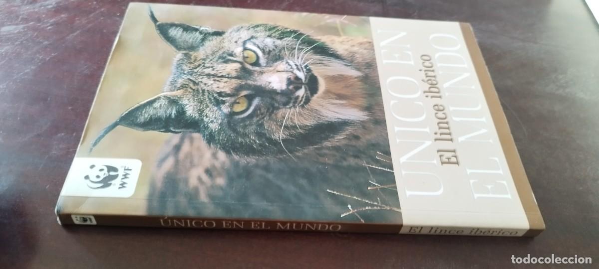 Libros de segunda mano: EL LINCE IBERICO UNICO EN EL MUNDO / VVAA / Z106